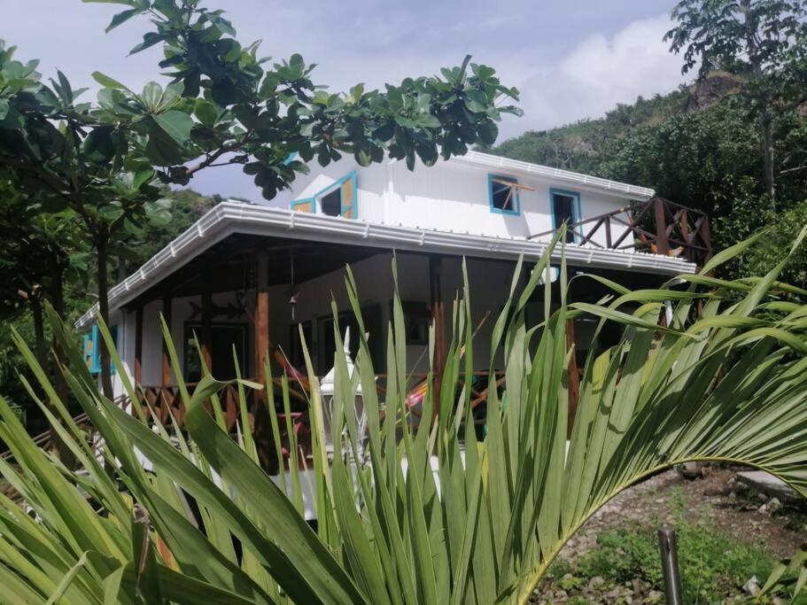 Mi Hermosa - Casa Islena A 70 Metros De La Playa Archibolds Eksteriør bilde